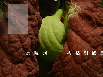 高院判決：“一夜情”到底是不是賣淫嫖娼？